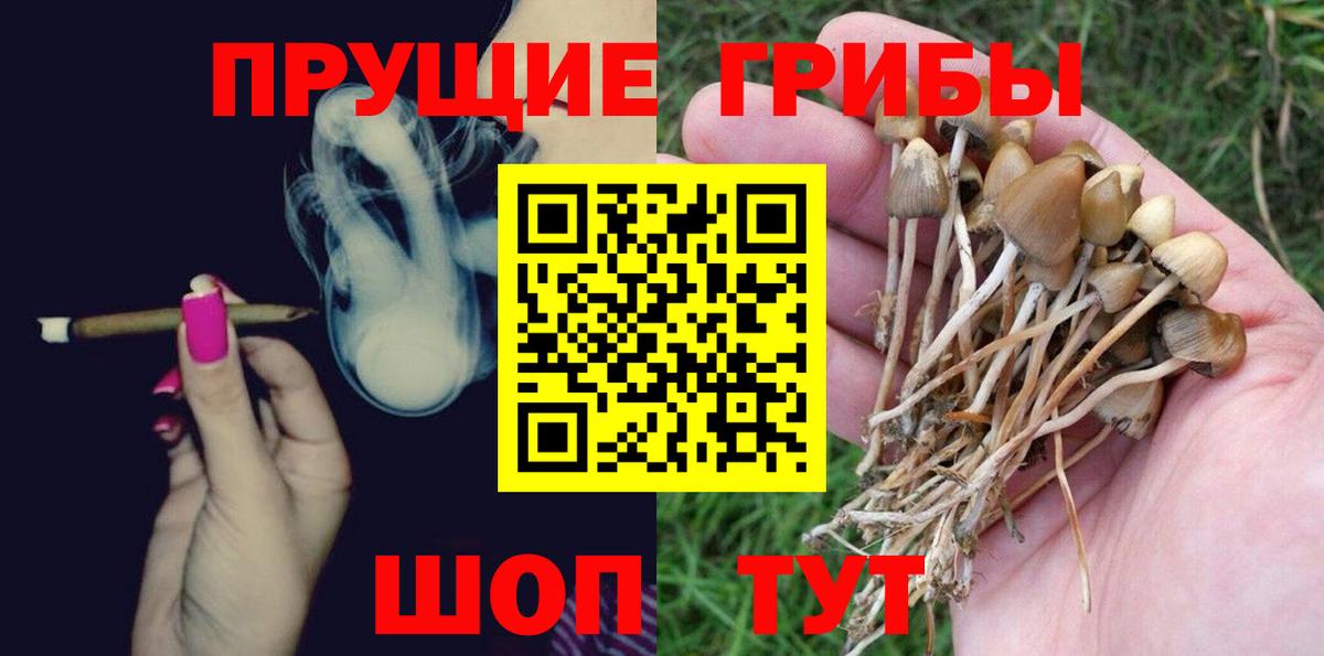 Псилоцибиновые грибы прущие грибы  Вход с VPN  Барабинск 